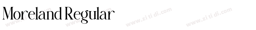 Moreland Regular字体转换